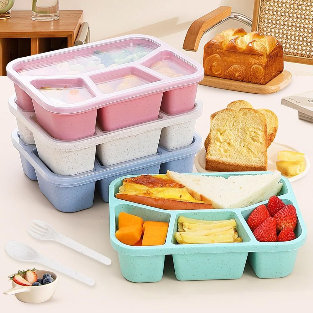 4 bölmeler çocuklar Bento kutu - Meal Prep Kinder incelemesi ve fiyatı